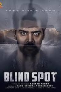 Download Blind Spot (2025) Dual Audio {Hindi-Telugu} WEB-DL 480p [321MB] || 720p [838MB] || 1080p [1.8GB]